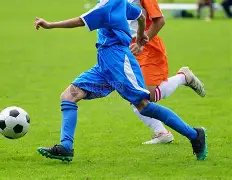 皇马备战欧,两极分化态,势明显,星空体育官网,星空体育App,星空体育直播,星空体育平台,星空体育入口